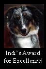 Indi's Award for Excellence