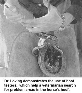 Dr. Loving demonstrates the use of hoof testers.